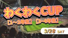 個サルバナー424